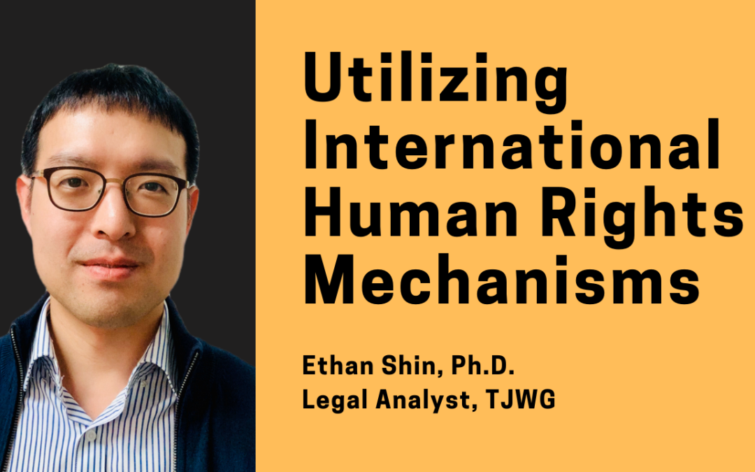 Utilizing International Human Rights Mechanisms