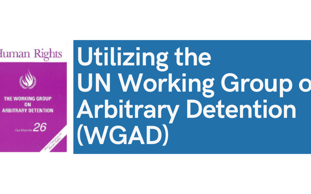 [Video] Utilizing the UN Working Group on Arbitrary Detention (WGAD)